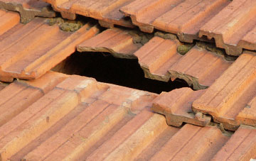 roof repair Chelfham, Devon